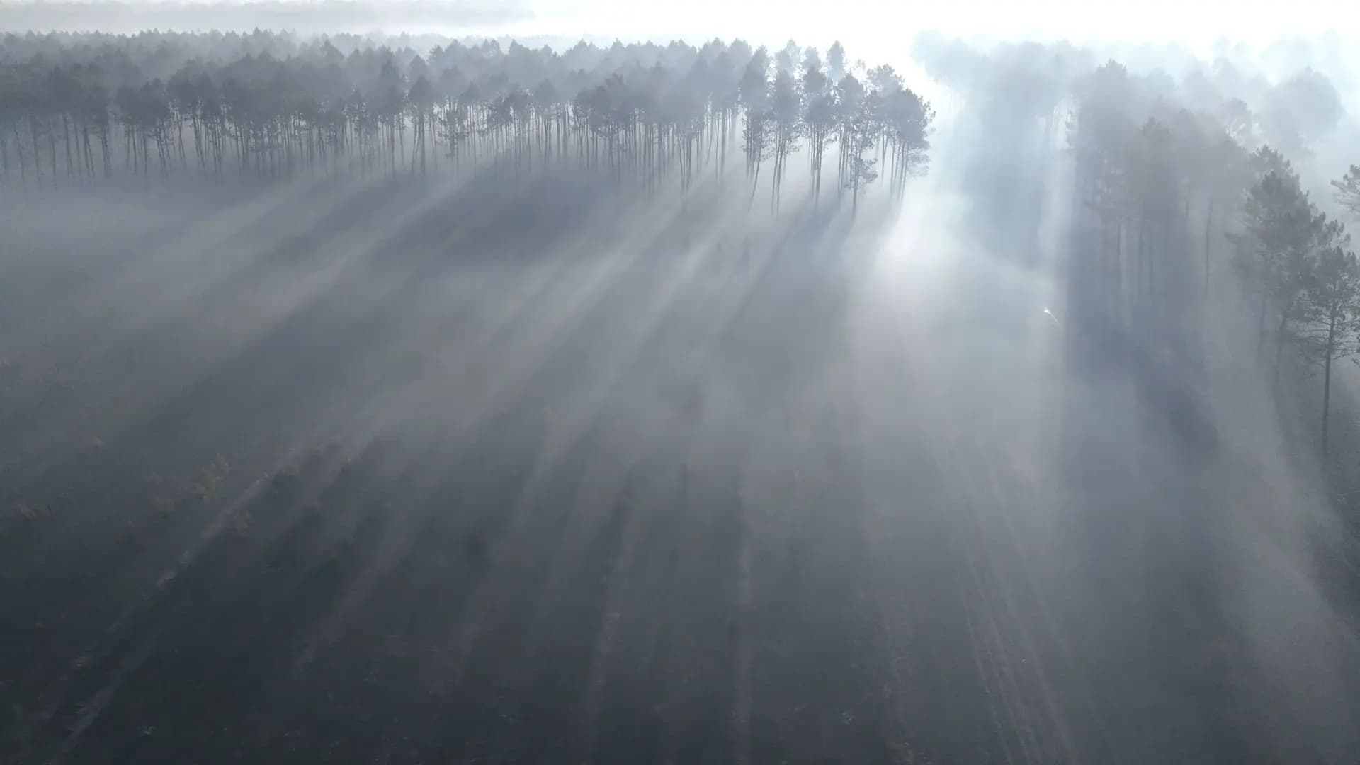 Spain and France battle wildfires