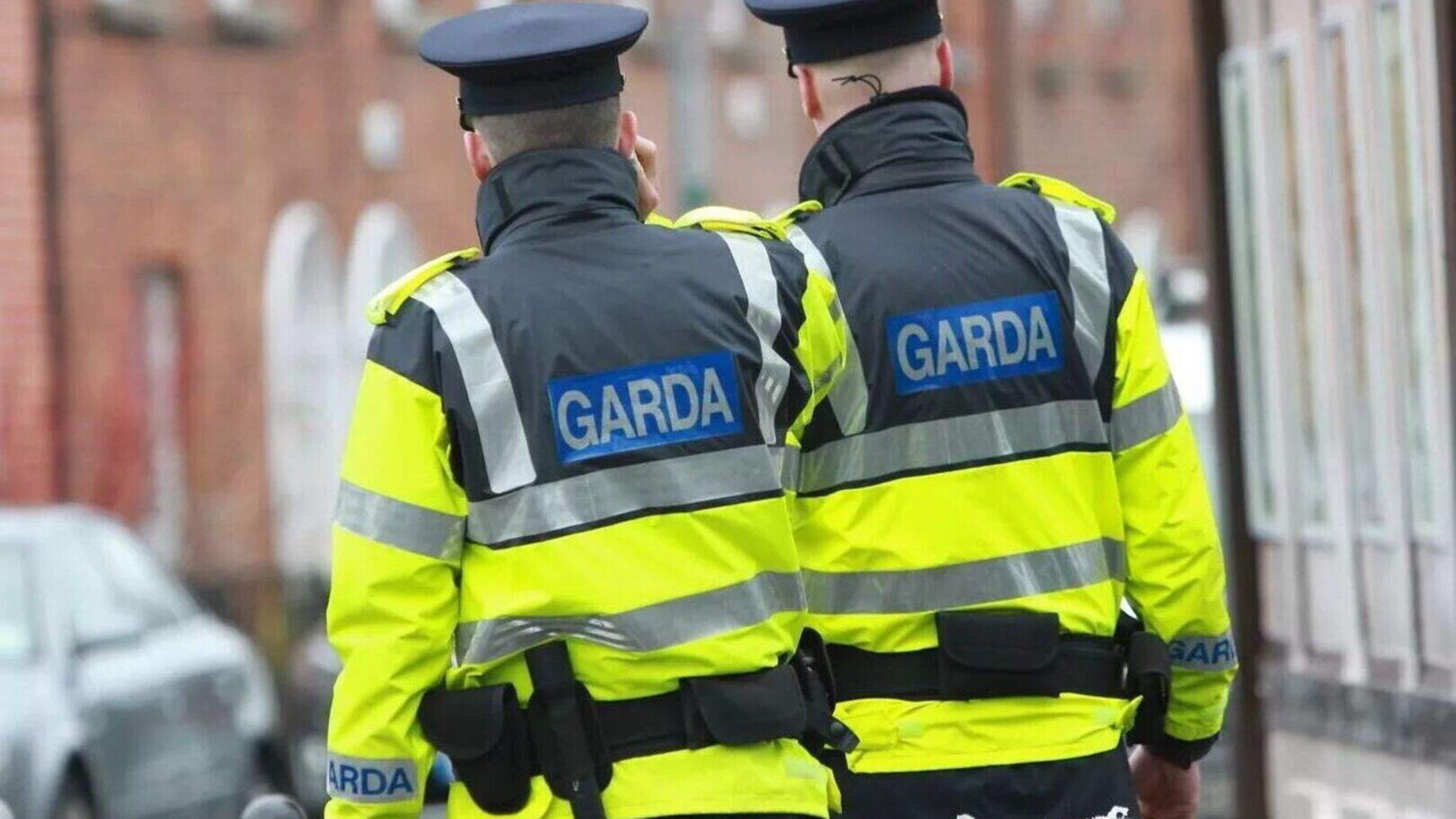 Wicklow-Wexford TD assists Garda in knife incident near Leinster House