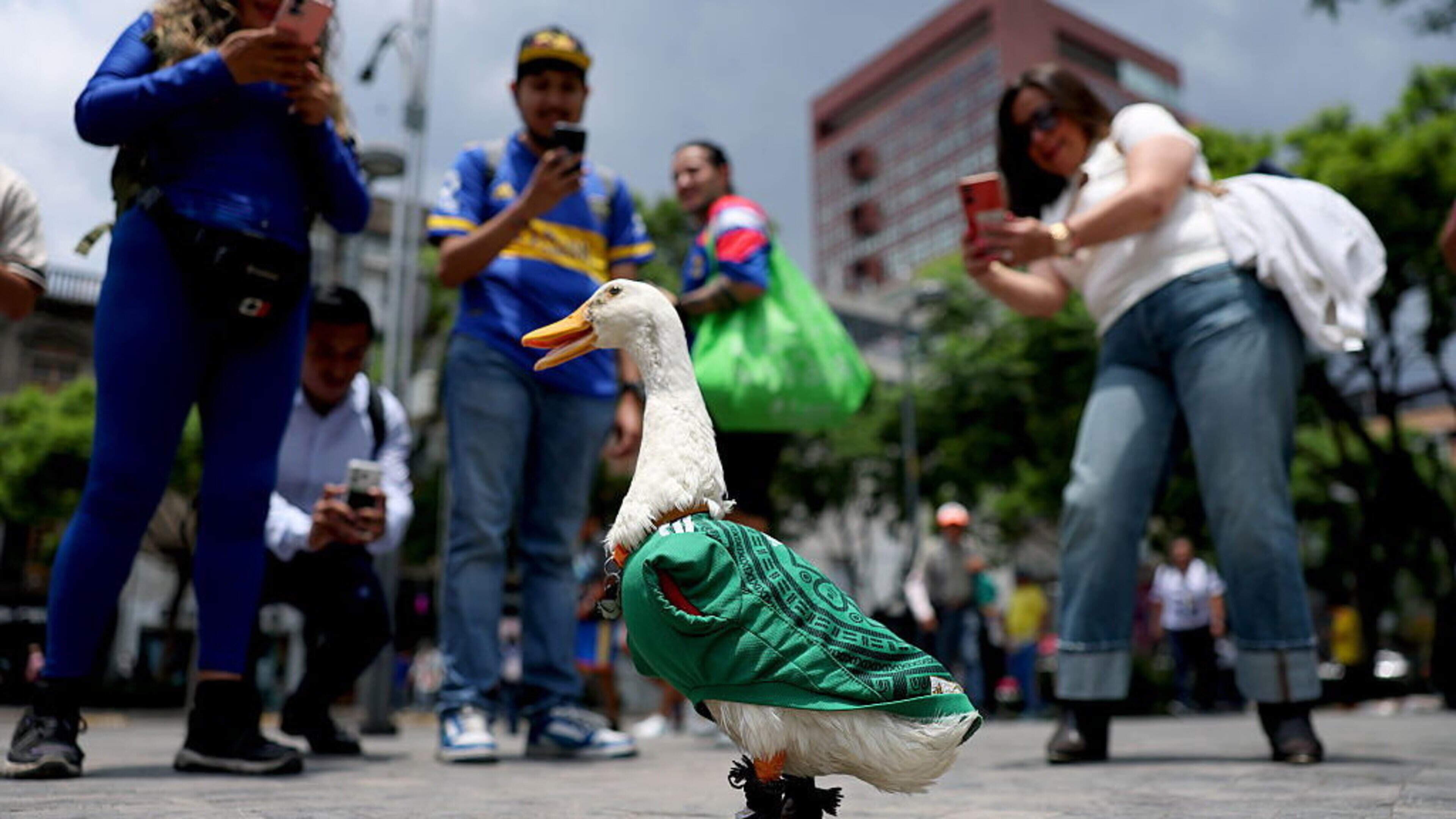Factors Behind the Raunchiest World Cup