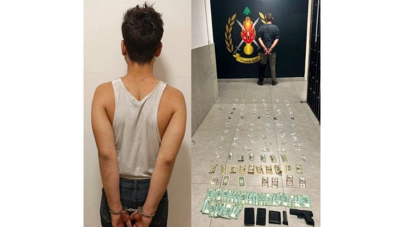 Dual ambushes net cocaine hash and wild marijuana in Metn