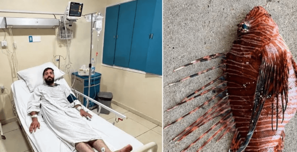 Lionfish sting hospitalizes youth in Tyre