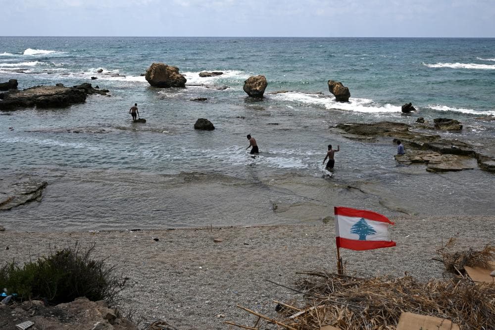 Lebanese Society for Image Preservation Remains Transparent