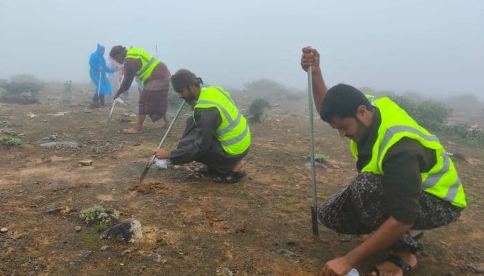 Dhobar region to receive 4 million tree seeds