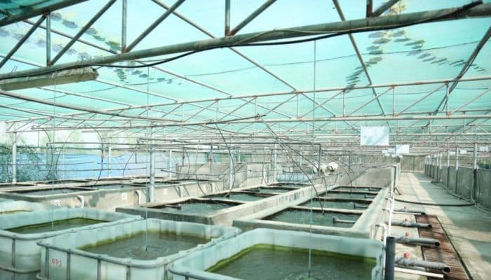 Middle region Dominates Blue Economy