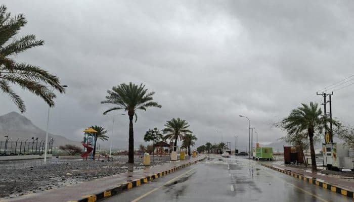 Meteorological Authority issues 7 weather alerts