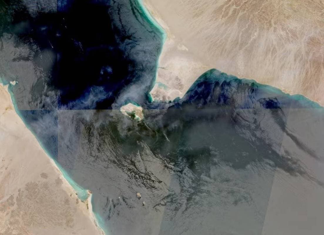Ship traffic through Bab al-Mandab declines