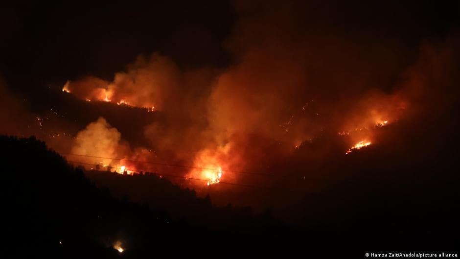 Progress of forest fire containment in Tunisia and Algeria