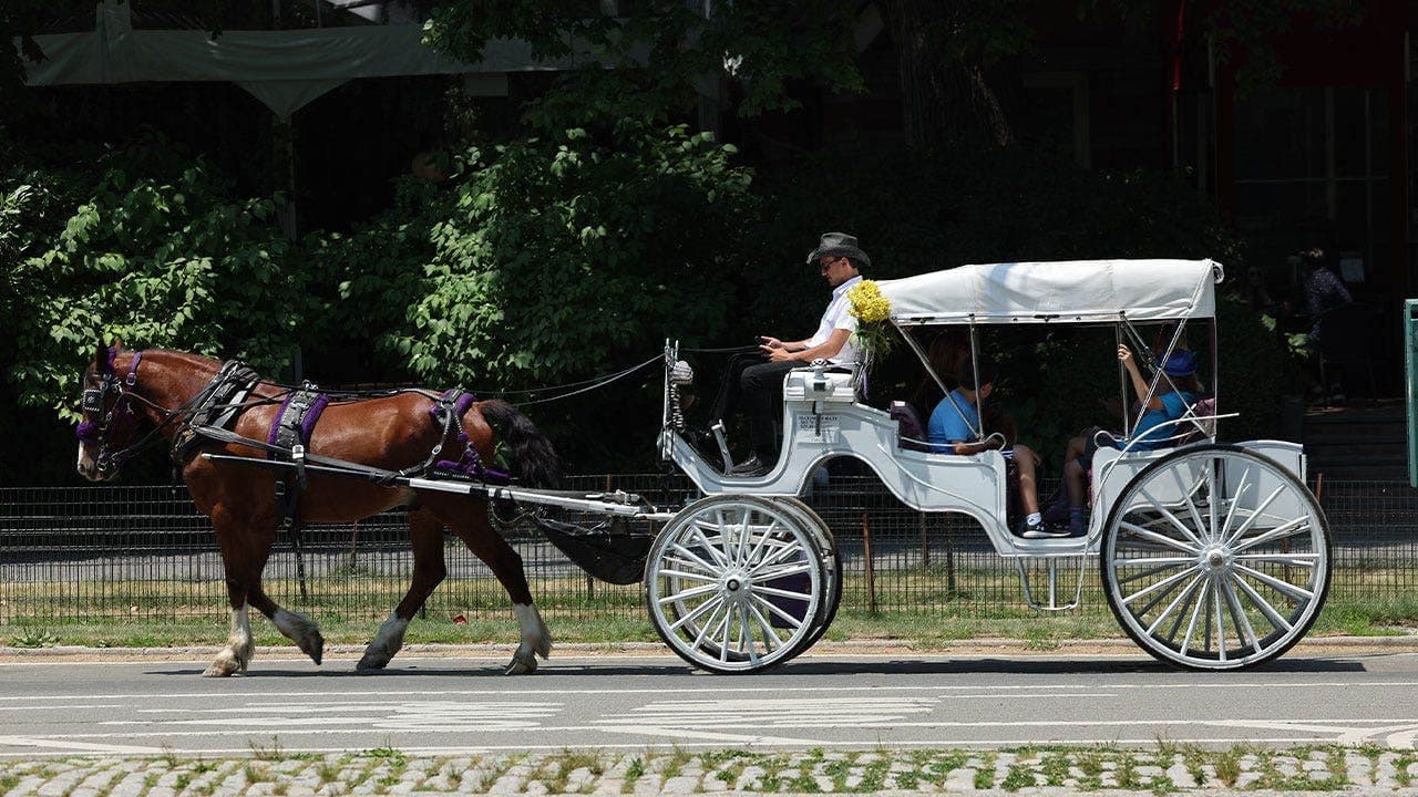 Mamdani and City Council target NYC horse-drawn carriage industry