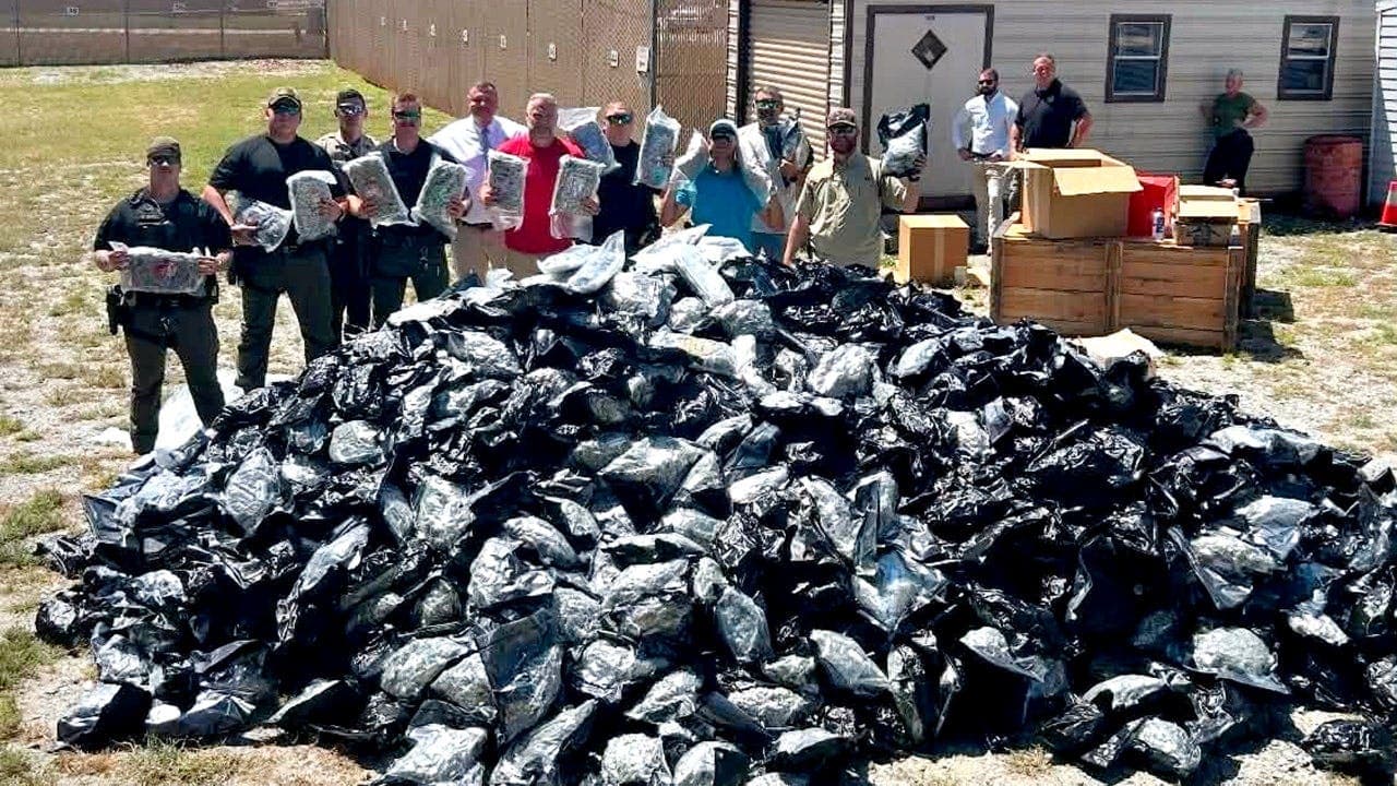 Georgia sheriff confiscates 1800 pounds of suspected illegal marijuana