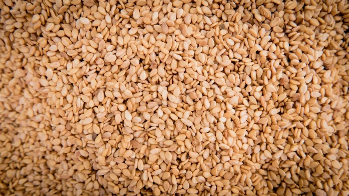 Sesame's impact on LDL cholesterol