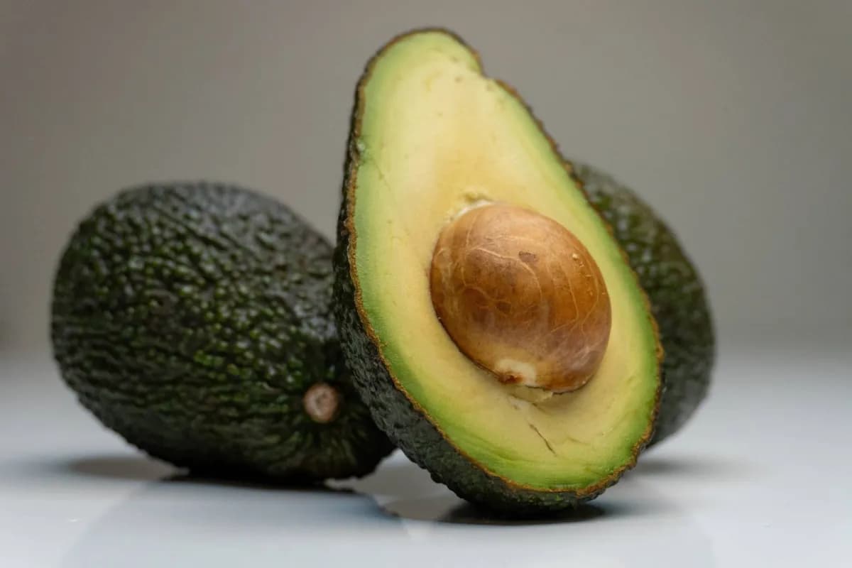 Daily avocado intake may lower heart disease risk