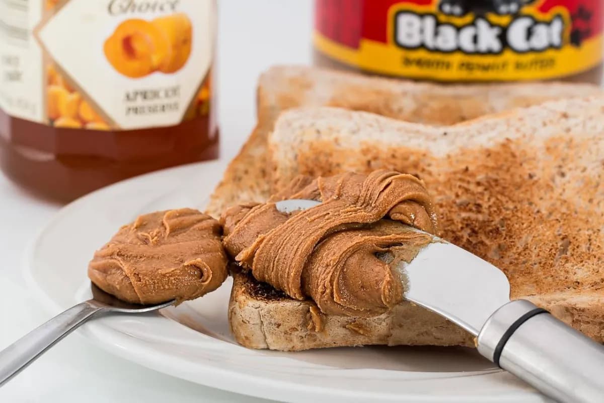 High-protein vegetarian breakfast options