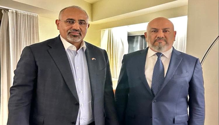 Southern Arab Council President issues new decision