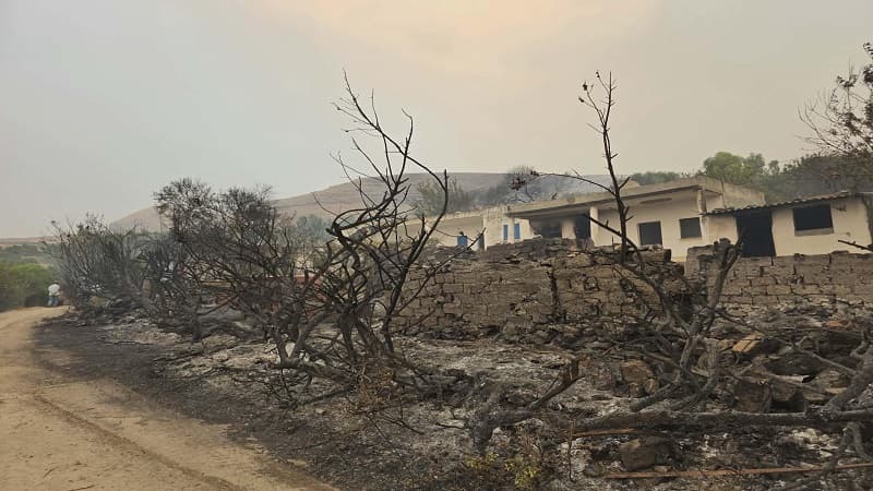 Bosalaam house and trees burned