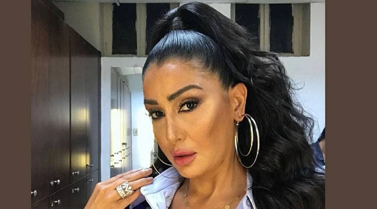 Ghada Abdel Razek to star in two Ramadan series