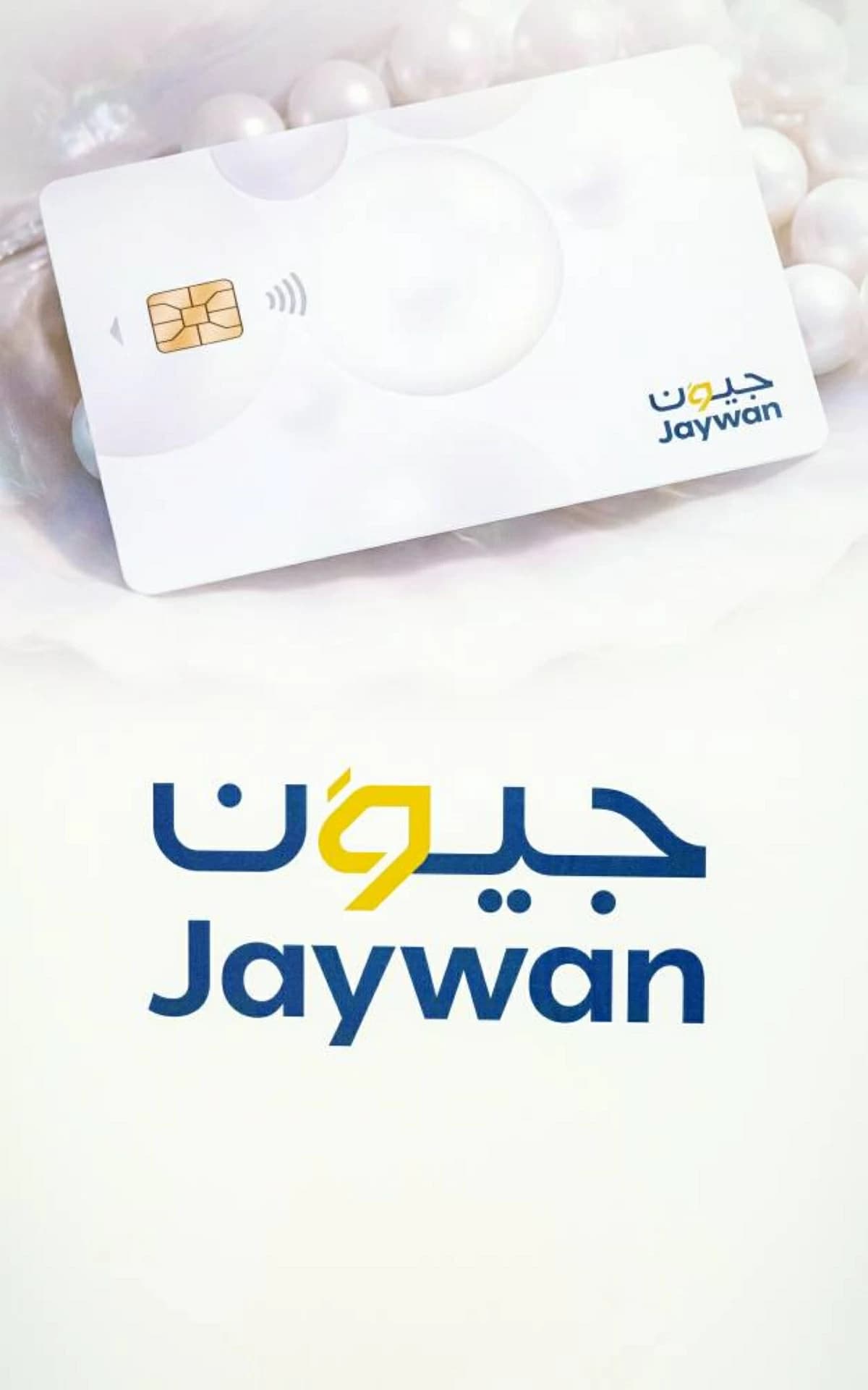 Network International broadens JioN card acceptance