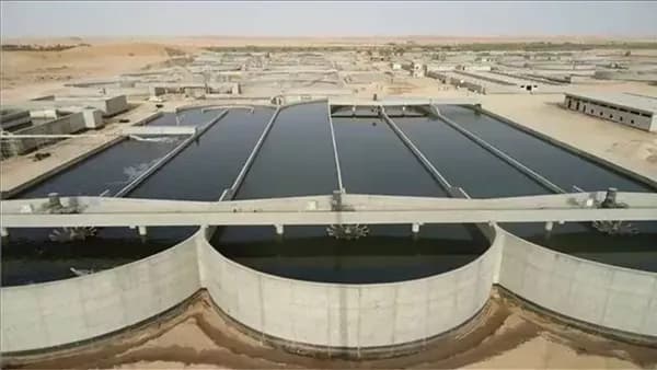 Alexandria Lands Seized for Sewage Plant