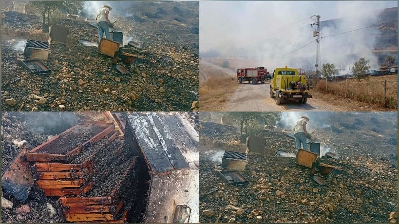 Joumin Fires Incident Overview