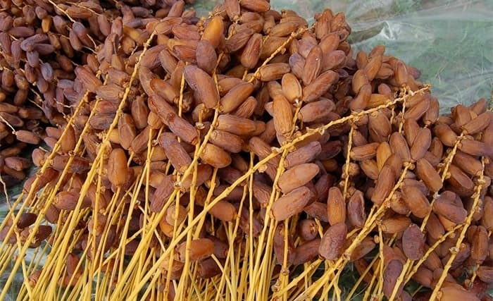 Date exports reach 908.4 million dinars in early 2025 season