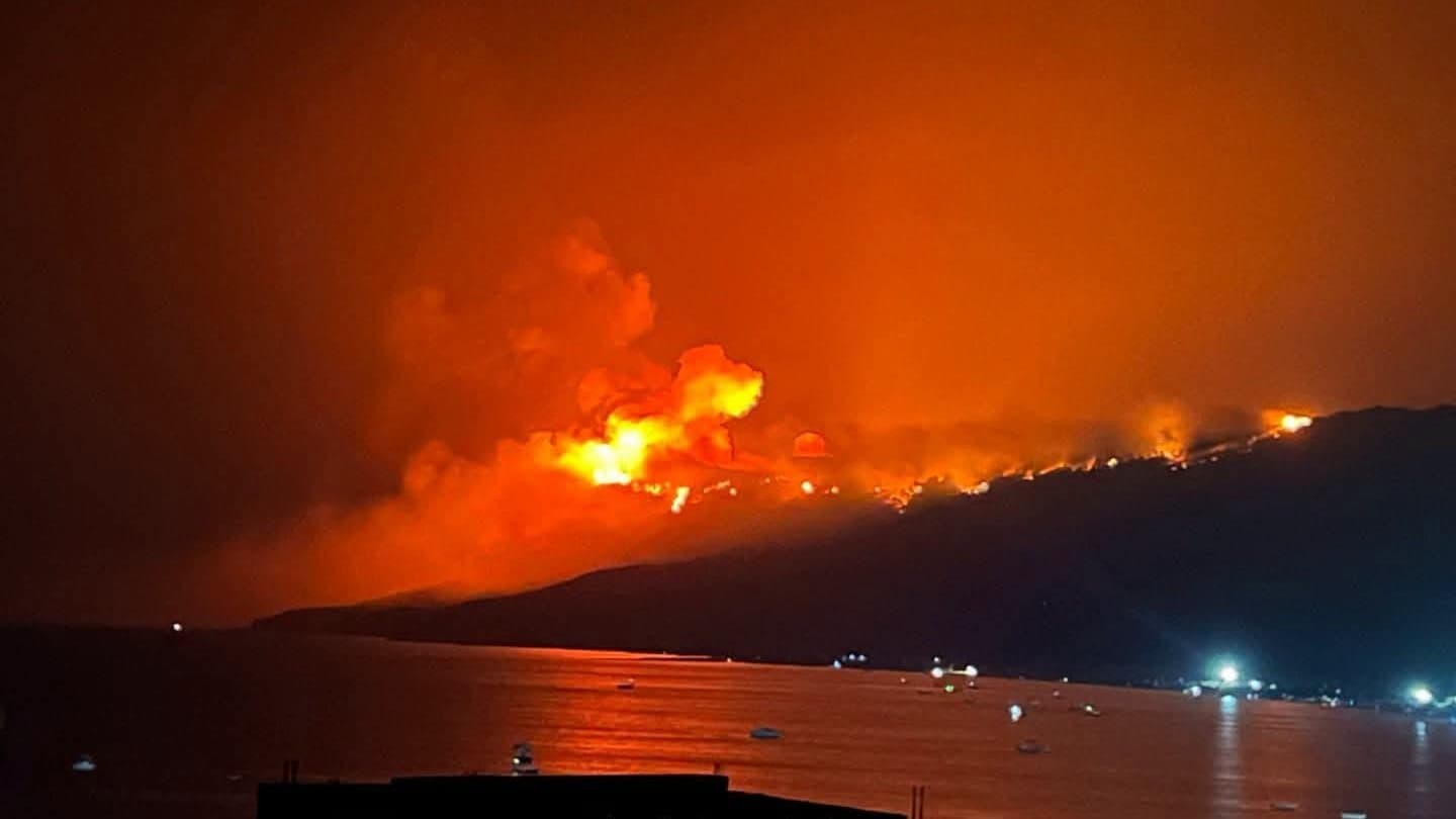 Tunisian Fires Destroy Over 238 Hectares