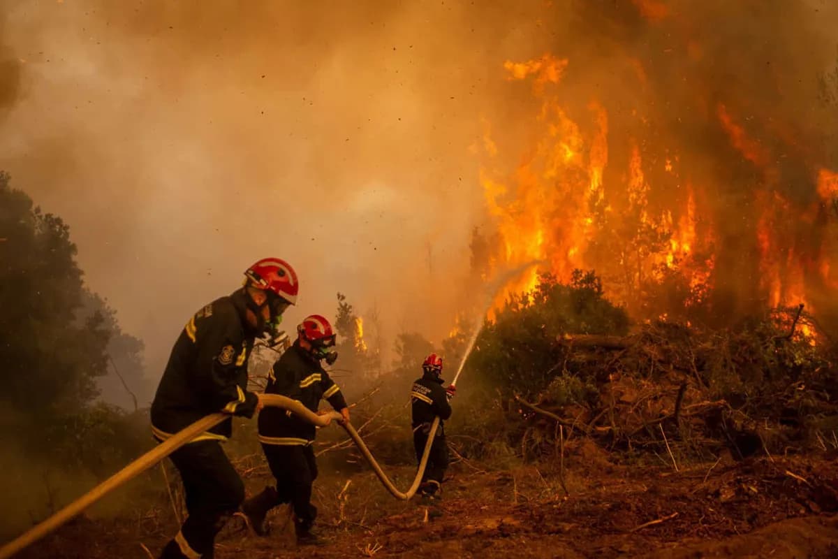 Morocco Wildfires Rise 32 Percent
