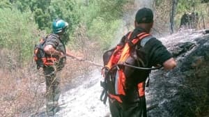 Boumerdes Urged to Strengthen Forest Fire Watch