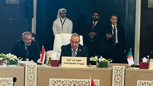 Foreign Minister addresses Jerusalem meeting, affirms Egypt's rejection of displacement and annexation