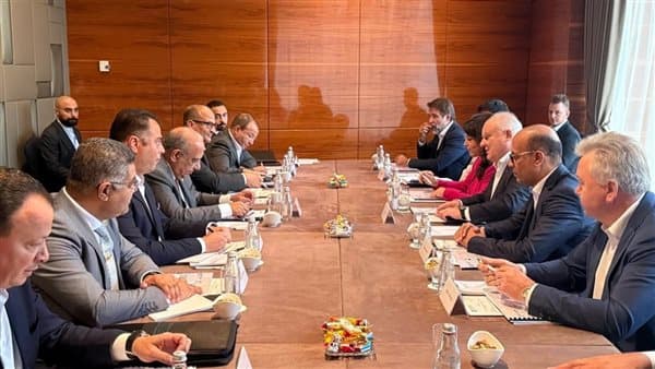 Electricity Minister talks with Rosatom unit on Dabaa desalination