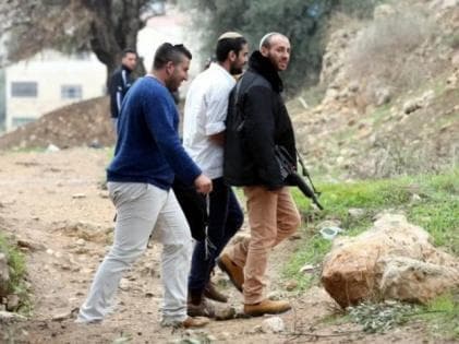 Jalud settlers torch olive trees