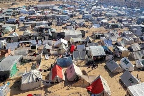 Gaza’s Displaced Face Rodent and Pest Threats