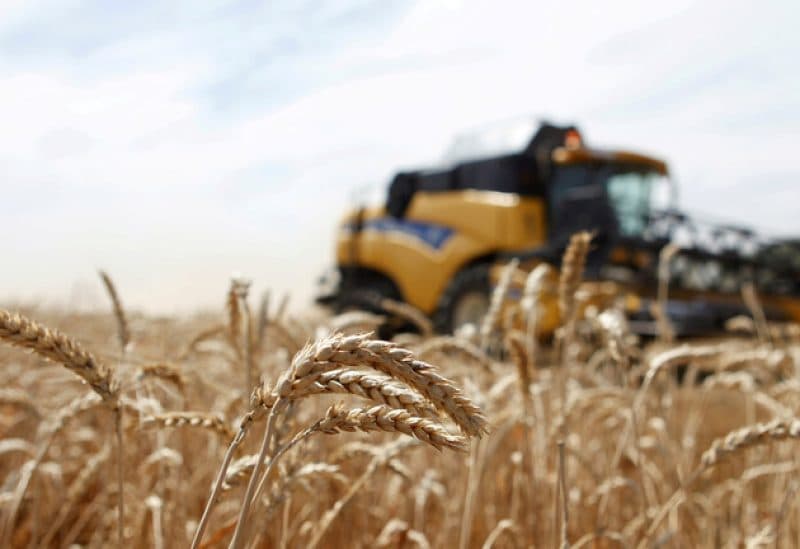 European wheat futures fall on Black Sea risks