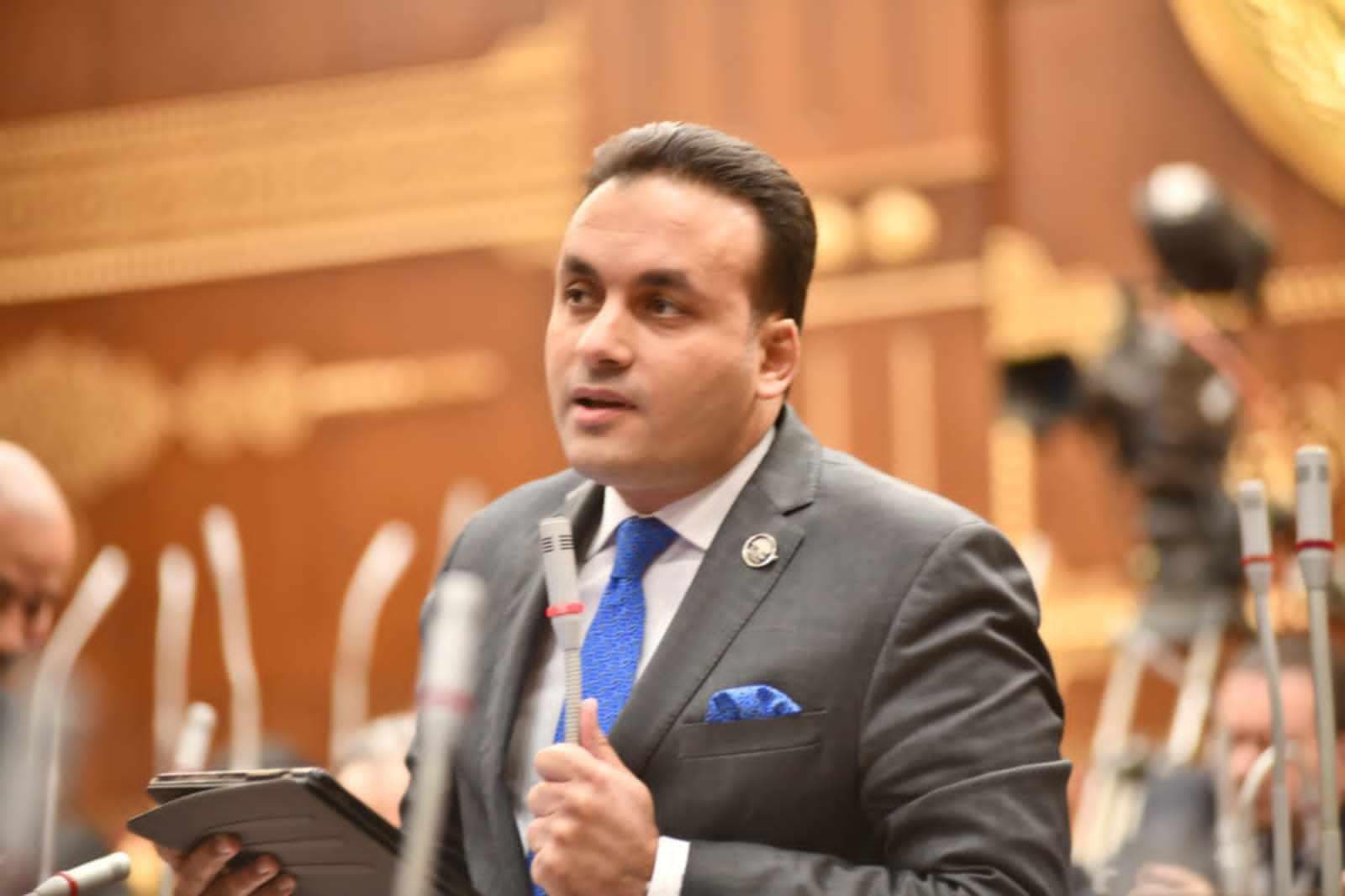 Deputy Fahmy urges quick passage of reconciliation law