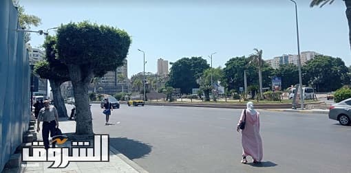 Tomorrow's Weather: Hot Day, Mild Night